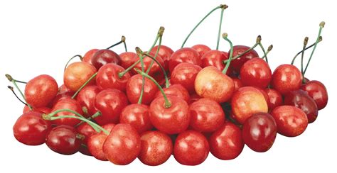 Who is the largest exporter of cherries?