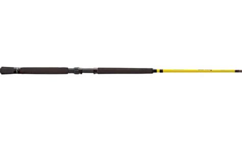 Is a longer or shorter fishing rod better?