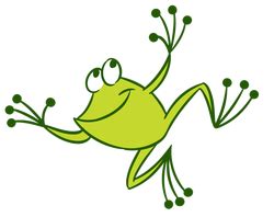 How long does a frog live?