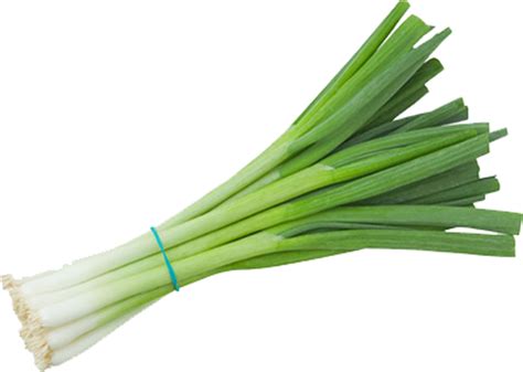 Are green onions a laxative?