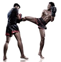 How many fights do you need to go pro in Muay Thai?