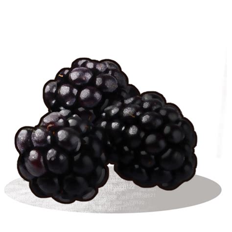What country grows the best blackberries?