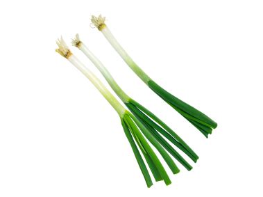 Can you use slimy spring onions?