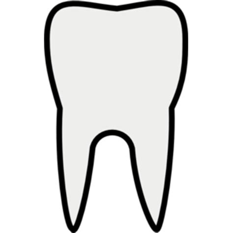 Should molars be smooth?