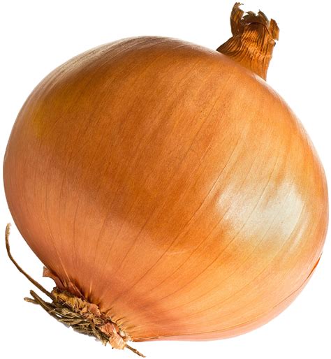 Can you replant onions that are too small?