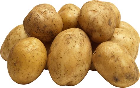 Do potatoes need a lot of water to grow?