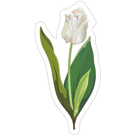 Do tulips like Miracle Grow?