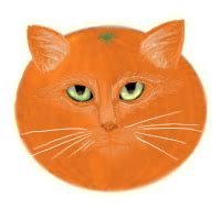 Do orange cats cuddle more?