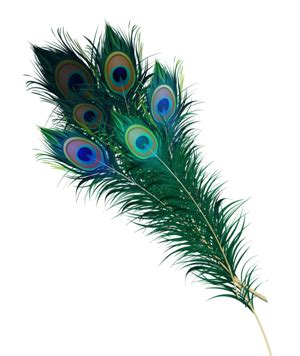 Which God wears a peacock feather?