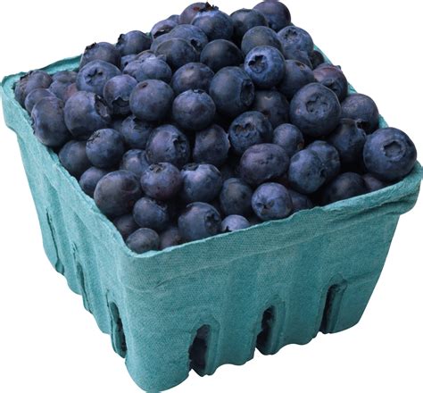 Do jumbo blueberries taste different?