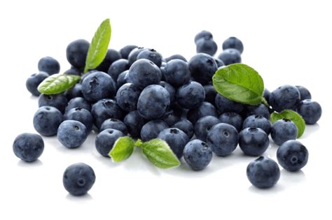 What is best tasting blueberry?
