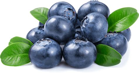 Is there a blueberry shortage 2023?