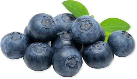 What is the best month for blueberries?