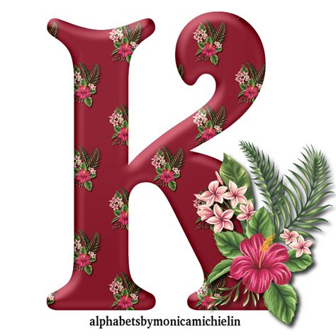 What are the 13 Hawaiian letters?