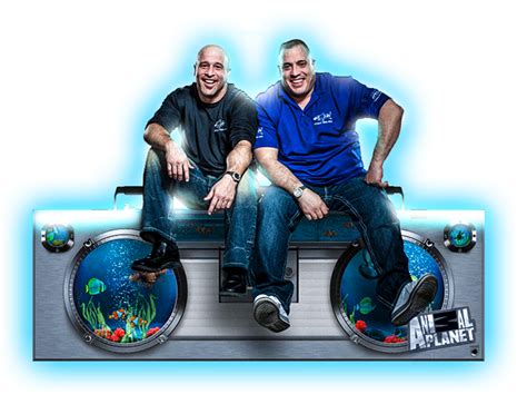 Did the show Tanked go out of business?