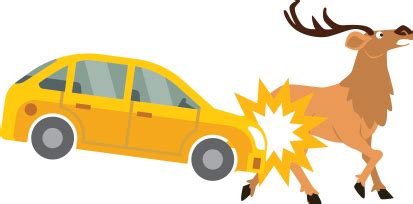 What color car do deer hit most?