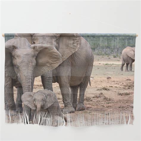 Do elephants enjoy mud baths?