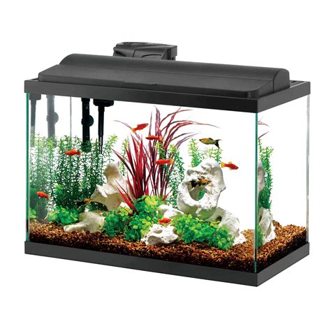 Should fish tank pump be on all the time?