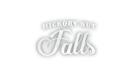How long do hickory nuts fall?