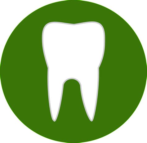 What is the most commonly broken tooth?