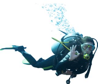 What is the golden rule of scuba diving?
