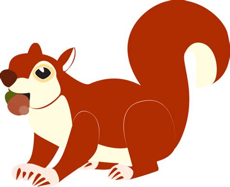 Why do squirrels bark and squeak?