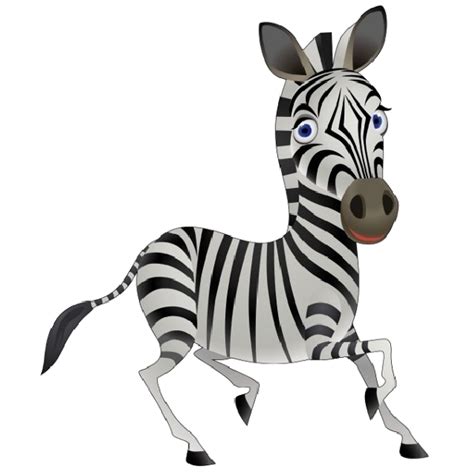 Do zebras practice infanticide?