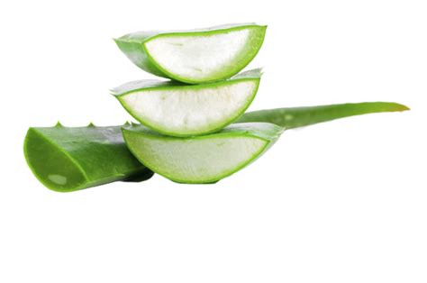 Can you use aloe vera straight from the plant?
