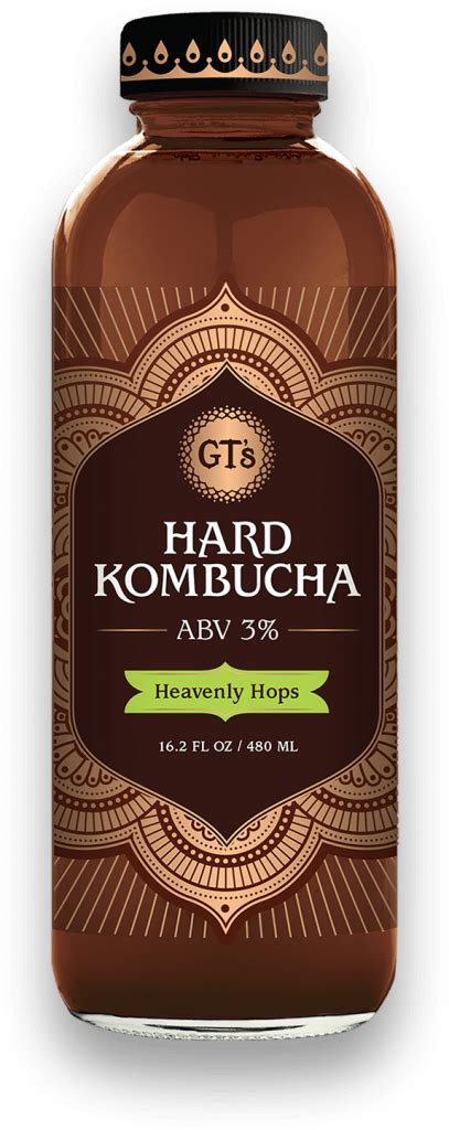 Is kombucha basically beer?