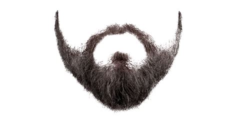 Does shaving increase beard growth?