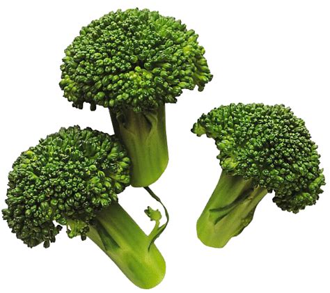 Why you should not boil broccoli?