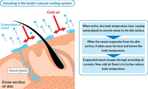 Can bowel problems cause sweating?