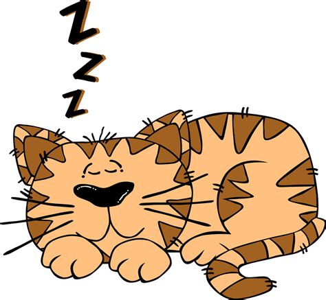 Can cats sense when you're sleeping?
