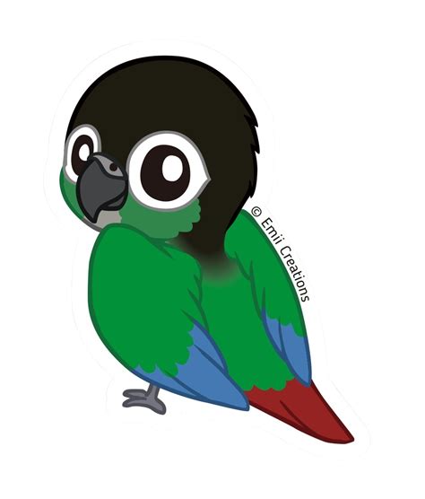 Why is my conure getting aggressive?