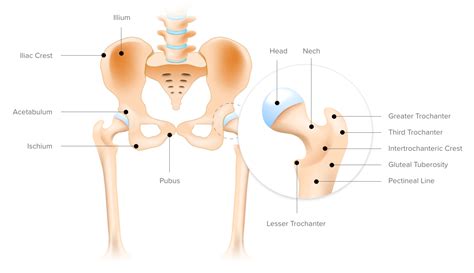 Is it OK to stretch a strained hip flexor?