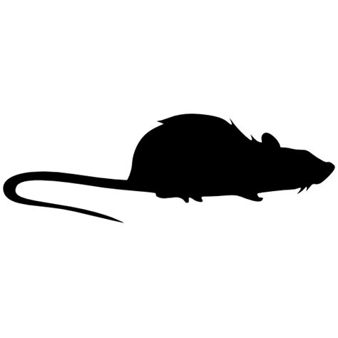 What does a rat sneeze sound like?