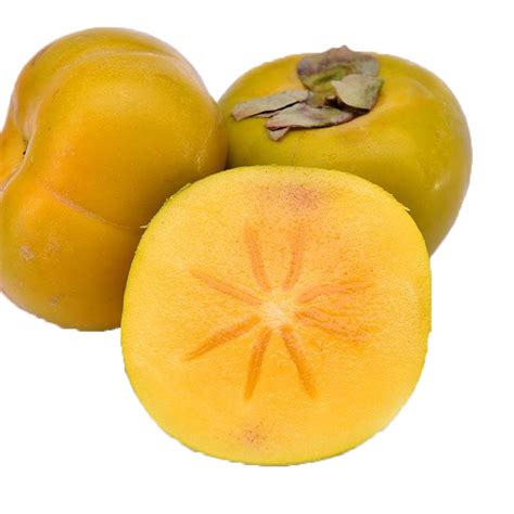 Is persimmon healthy or not?