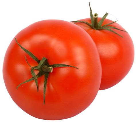 What is the history of the Everglades tomato?