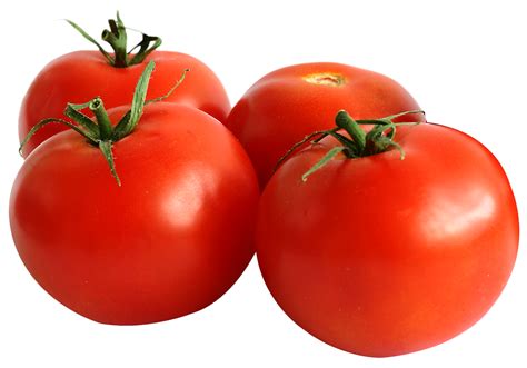 What is the tastiest tomato to grow?