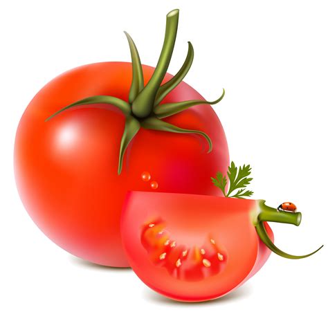 What is the rarest type of tomato?