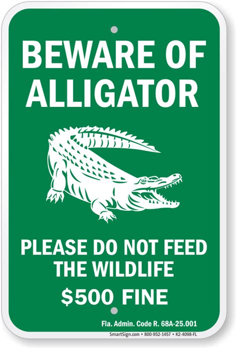 Can alligators get angry?