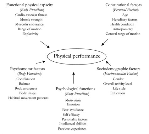 What is the role of behavior in physical fitness levels?