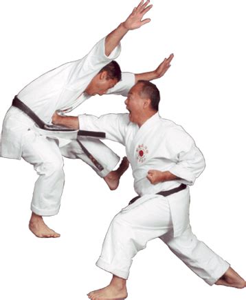 Should I learn Krav Maga or karate?