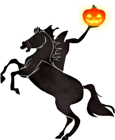 Why do horses spook at nothing?