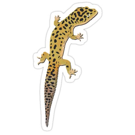 What are the signs of parasites in leopard geckos?