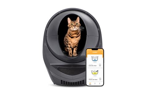 How do I reconnect Litter-Robot 4 to WiFi?