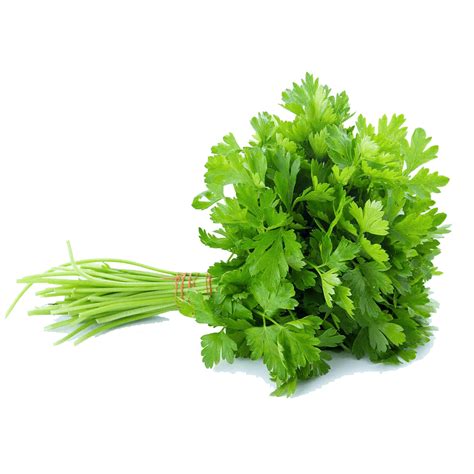 What are the white patches on parsley leaves?