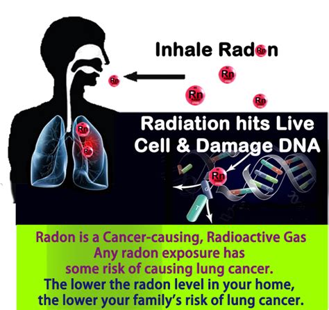 Does a radon fan need to run 24 7?