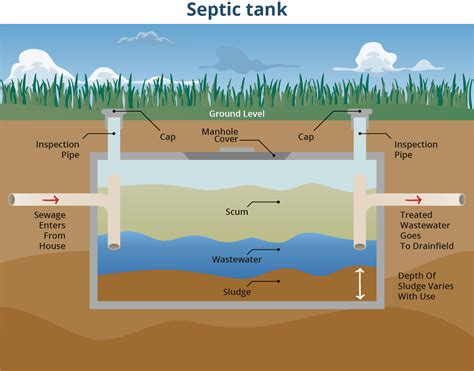 What are the signs of a backed up septic tank?