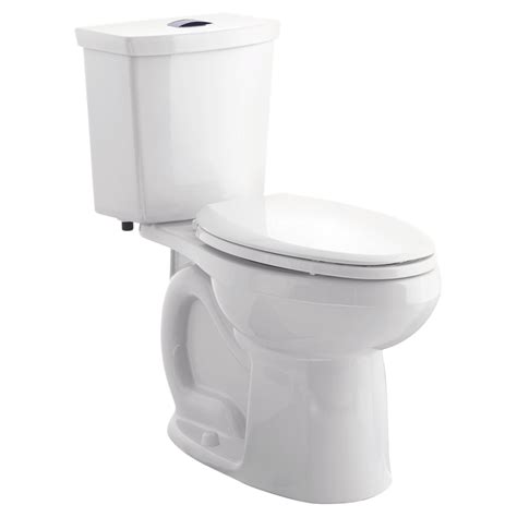 What is the common problem with dual flush toilets?